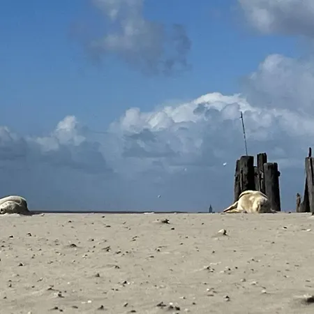 Luettje Bernstein * וגנרוגה