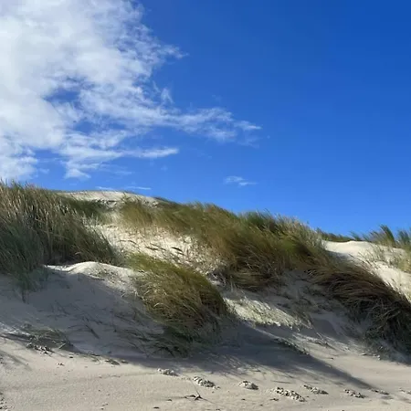 Luettje Bernstein * וגנרוגה